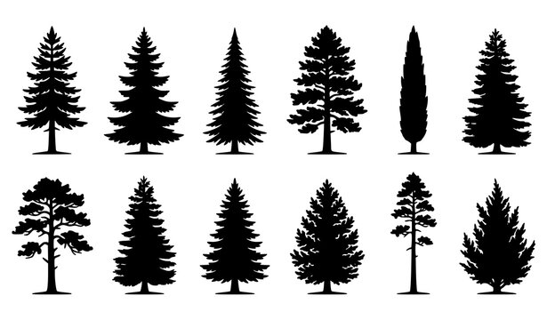 Set of various pine and fir tree silhouettes vector illustration