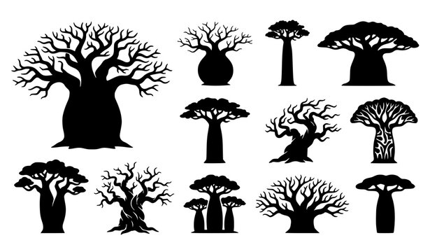 Different shapes of baobab tree silhouettes set vector graphic