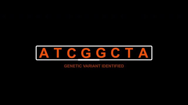 Minimalist ATCG Genome Text Motion Graphic. Seamless Loop Medical HUD on Transparent Background.