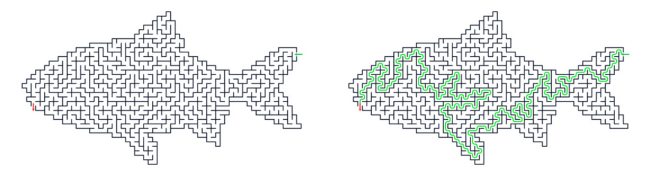 Fish shape maze for activity book. Complex square grid labyrinth path with solution. Printable vector puzzle isolated on transparent background