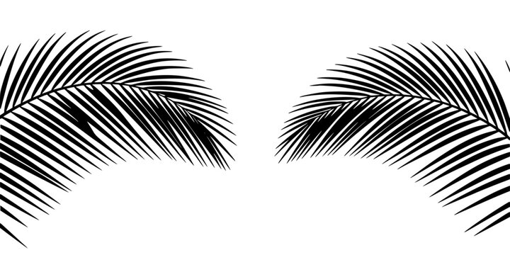 Palm Leaf Frond Pattern in Black and White with Stylized Curved Lines and High-Contrast Graphic Design Background