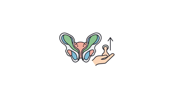 Pelvic Floor Muscle Anatomy and Exercise Illustration