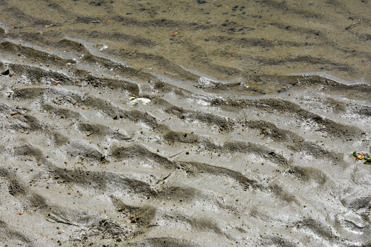 Sillage laiss&eacute;s par la mer 