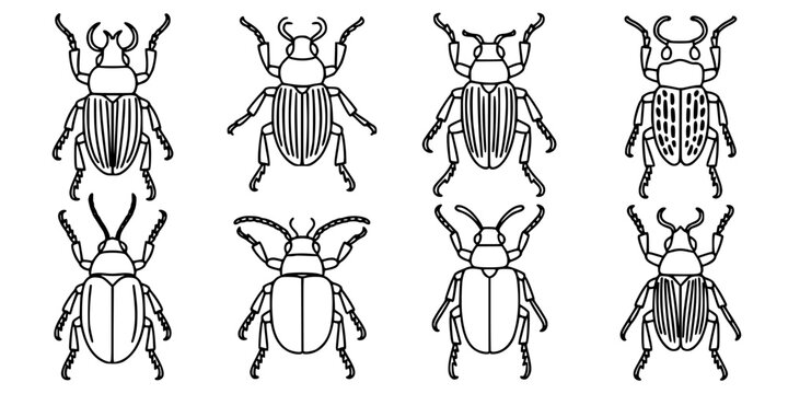 Beetle Set of Black and White Line Art Insects with Detailed Elytra, Antennae, and Decorative Wings on White Background