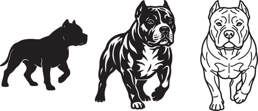American pit bull terrier silhouette and muscular dog line art illustration for pet branding.