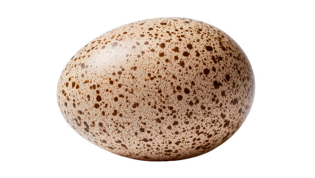 Speckled bird egg with brown spots on light beige shell