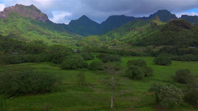 Belvedere Lookout walking trails Moorea French Polynesia Mount Toheia Mt Rotui valley aerial drone lush green jungle forest volcanic jagged mountain peaks sunny morning blue sky clouds backwards pan