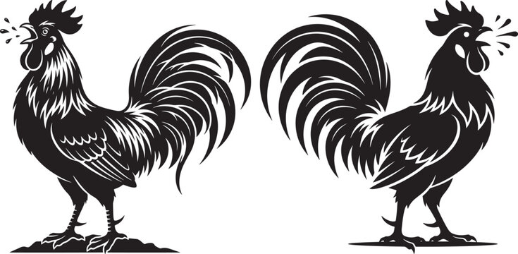 Silhouette black vector rooster crowing on ground with silhouette illustration background isolated cockerel creative