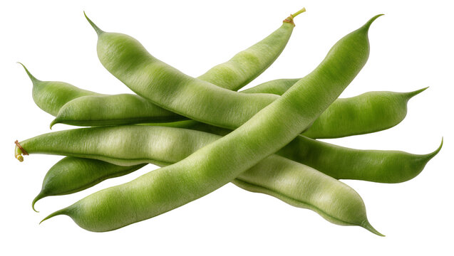 Heap of fresh green lima beans, isolated on transparent background