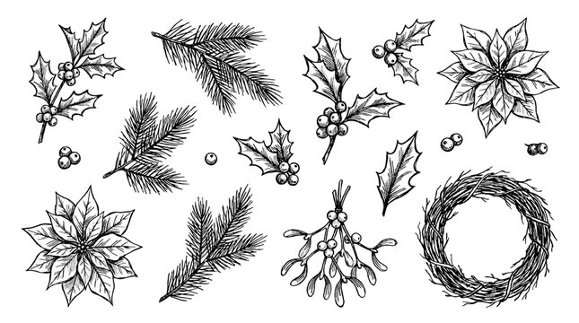 Hand drawn Christmas botanical elements and wreath sketch set