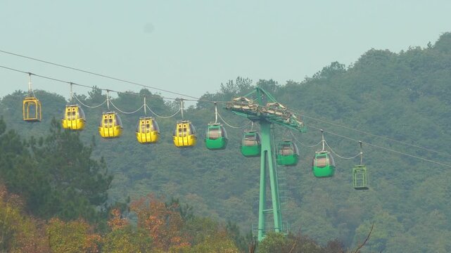 Colorful cable cars above forested hillside in autumn