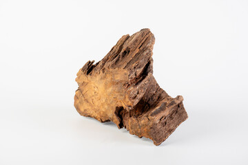 Obraz premium Tree bark piece, Bark of tree,old wooden isolated on white, top view 