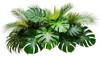 Monstera leaves and palm fronds with small yellow flowers © Fried