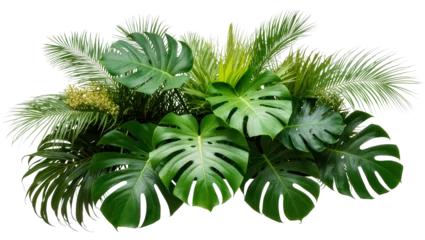 Fototapete Tropisch Monstera leaves and palm fronds with small yellow flowers  © Fried