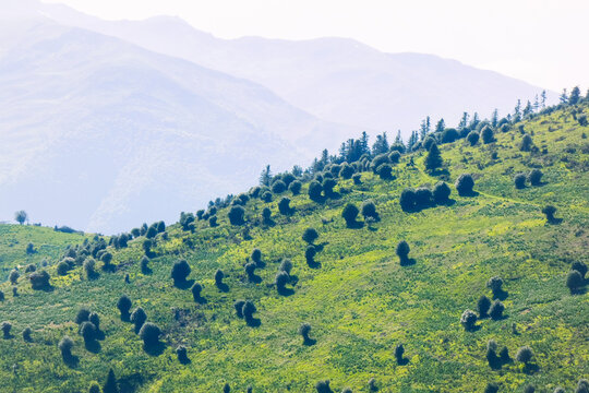 Col d'Aspin