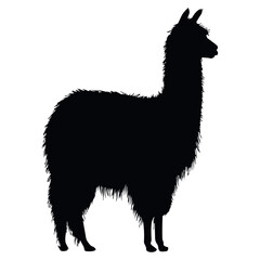 Naklejka premium Simple black silhouette of llama on white background, emphasizing animal form, nature, countryside life concept. Ideal for icons, posters and illustrative design work