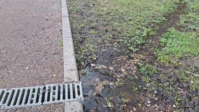Puddle forming at curb near storm drain on wet pavement, spring rain detail, urban water flow.