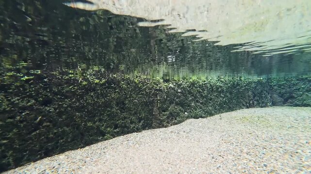 【4K】秋田県美郷町・名水百選「六郷湧水群」の澄み切った清水と自然 - 透明度抜群の水中映像・湧き出る気泡と砂