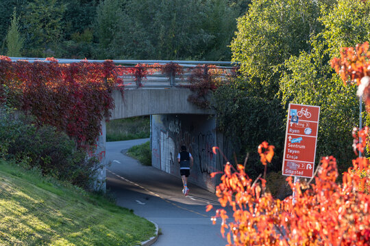 pedestrians follow a curving road under an Oslo, Norway underpass, where autumn foliage and a red sign frame the park curve beside trees