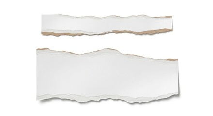 Fototapeta premium Back to school torn paper effect two white paper pieces with rough edges on white background
