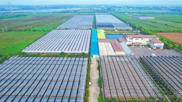 Aerial View of Large Agricultural Greenhouses and Farmland
