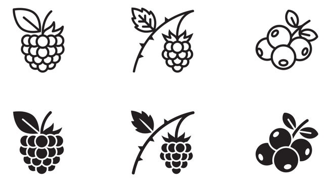 Collection of berry icons featuring ripe raspberries and wild blueberries on branches in linear and solid styles