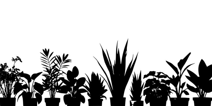 Plants in Pots with Various Leaf Shapes and Sizes Arranged in a Row Featuring Houseplants, Foliage, Plant Collection with Plant Arrangement