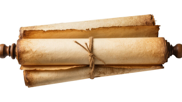 Antique parchment scrolls tied with twine, isolated on transparent background