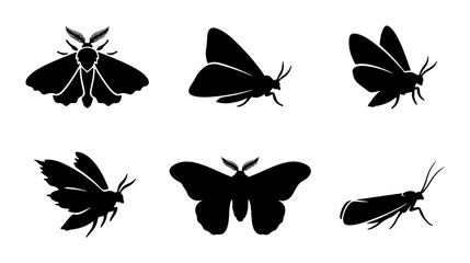 Moth Silhouettes Collection, Insect Icons, Vector Graphics Set © AlAmin