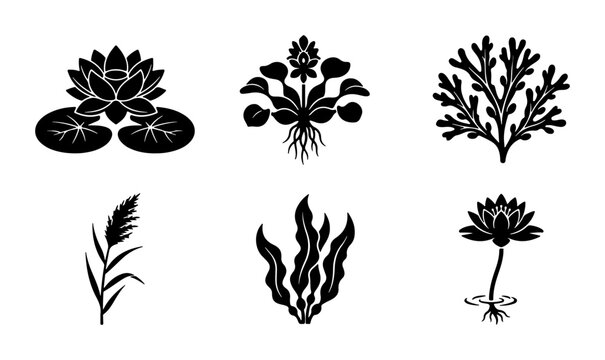 Aquatic Plant Icons: Water Lily, Reed, Coral, Algae Set
