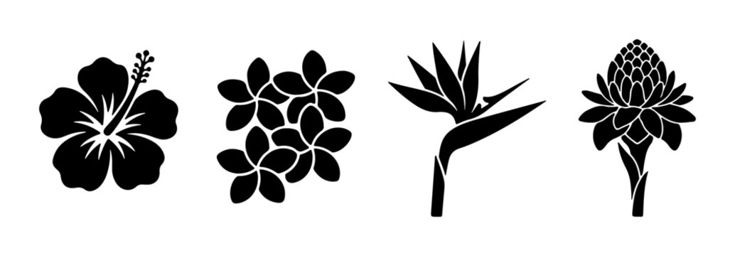Tropical Flower Silhouettes: Hibiscus, Plumeria, Bird of Paradise, Ginger