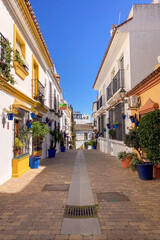 Fototapeta premium A bright white street lined with colorful flower pots and blooming plants creates a charming Mediterranean scene in Estepona, Spain