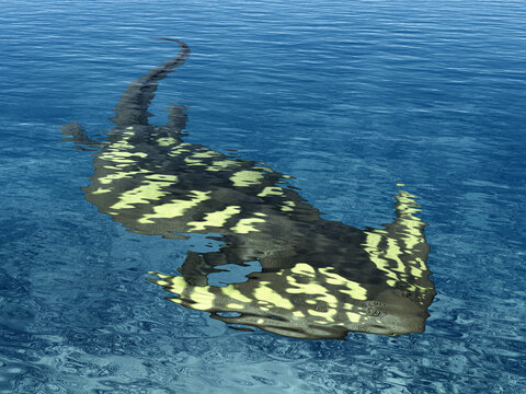 Pr&auml;historisches Amphibium Diplocaulus in flachen K&uuml;stengew&auml;ssern