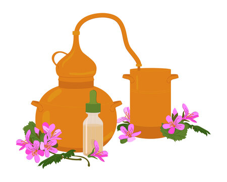 Vector illustration of a still and Pelargonium graveolens. An old copper still for producing essential oils and floral distillates. A device for home production of Pink geranium extract.