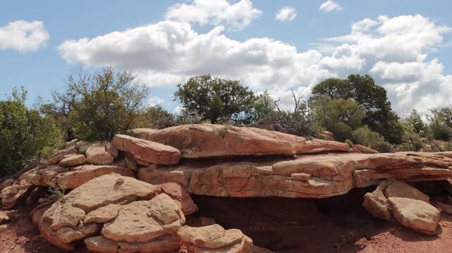 A pinyon-Juniper woodland with shelf-like rocks in Capitol Reef National Park in Utah