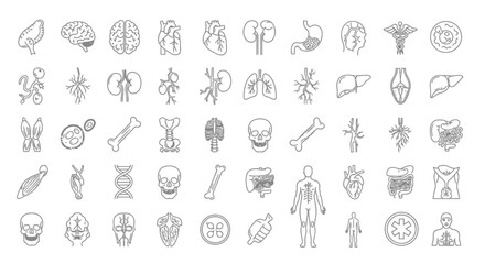 Obraz premium Black and White Line Icons of Human Anatomy and Medical Symbols on Plain Background