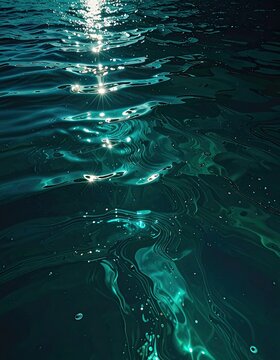 Sparkling water surface with sunlight reflecting on ripples.