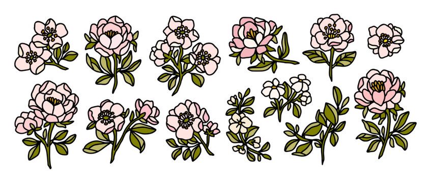 Collection of whimsical hand drawn botanical dog rose and peony garden floral clipart illustration elements for decoration, prints, beauty products, branding, feminine logo
