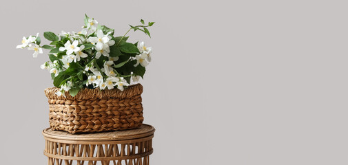 Obraz premium Wicker basket with blooming jasmine flowers on table near white wall in room, closeup