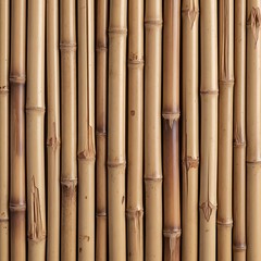 Fototapeta premium Bamboo stalks natural texture background