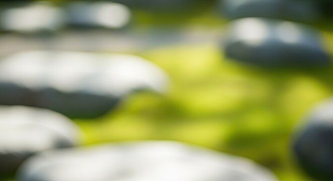 Abstract Blurred Background with Soft Focus Green and White Tones.