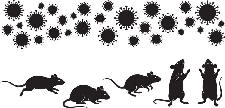 Set of black silhouettes showing virus cells and various mouse poses isolated on transparent background for biological study.