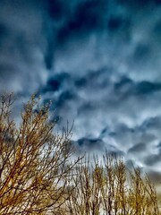 Obraz premium clouds in the sky