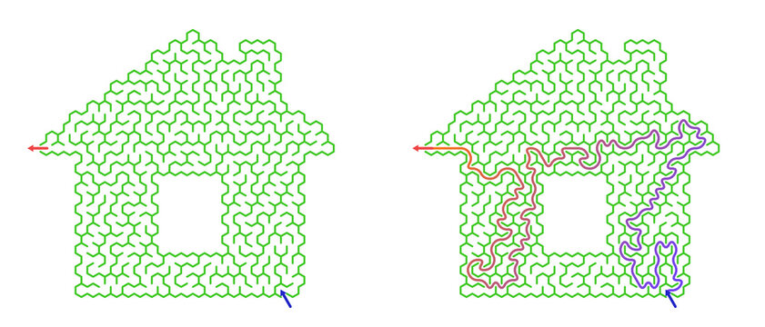 Labyrinth game grid in green forming house shape with paths  