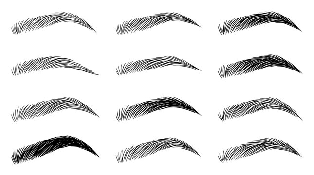 Various eyebrow shapes and designs in a vector graphic illustration style