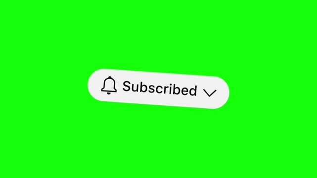 Subscribed Button Looped Animation with Bell Icon on Green Screen Chroma Key