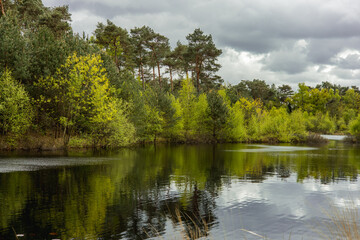 Obraz premium Spring Green Forest with Footpath on a River Bank in Cloudy Weather