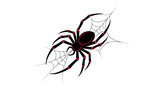 Black widow spider with red spots on web, isolated illustration