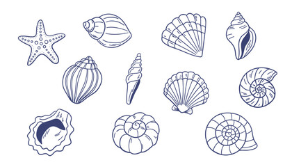 Set of hand drawn seashells. Vector illustration isolated on white background. © Jevgeniya Mukhitova