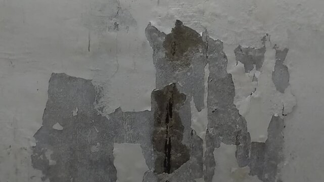 Wall paint is peeling and damaged due to damp walls and water seepage